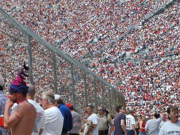 crowd