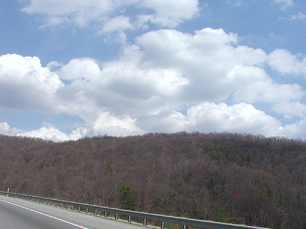 TN scenery